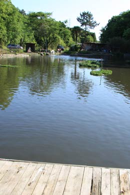 千葉県の管理釣り場 管理釣り場ドットコム