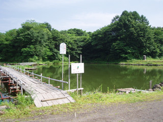 �n�C�����Ή摜