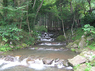 日向山荘マス釣場画像