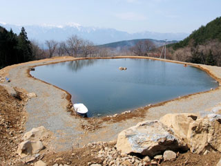 �W���C�E�t�B�[���h in Tsugane�摜