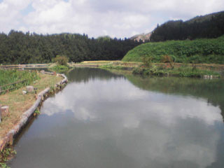 鹿伏フィッシング・エリア画像