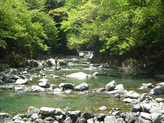 神之川キャンプ・マス釣り場画像