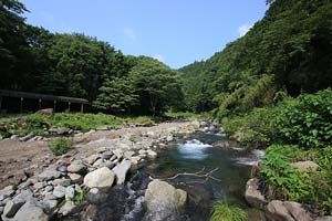 狩川渓谷ます釣り場渓相は様々写真