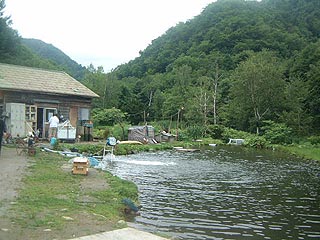 北曜日水族園画像