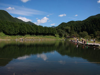 LAKE�@FOREST�摜