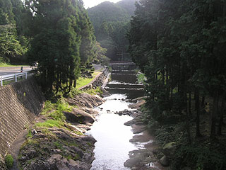 名阪森林パーク画像