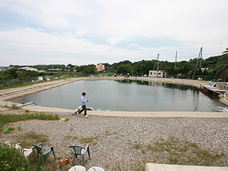 美浜海釣りパーク画像