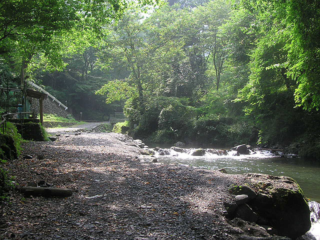 峰谷川渓流釣場歩きやすい川岸写真