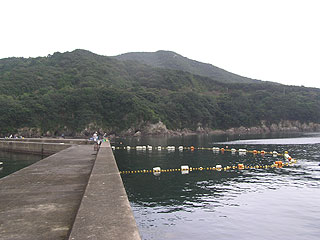 奈屋浦釣堀センター画像