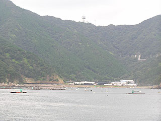 錦漁協釣り堀画像