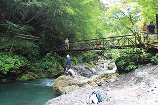 大血川渓流観光釣場移動は木道・吊り橋など写真
