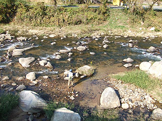 大戸川ニジマス釣場画像