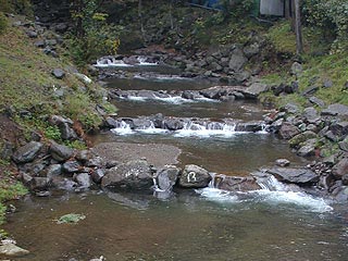 大山フィッシングセンター画像