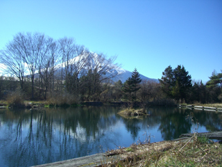 �E��t�B�b�V���O�G���A�摜