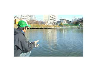 レイク和田中画像