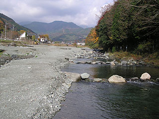 寄(やどりぎ)自然林休養村清流マス釣り場 画像