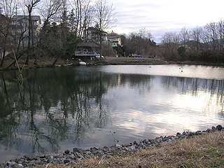 �񋏁E�n�`�K�^YGL SPORTS FISHING AREA�摜