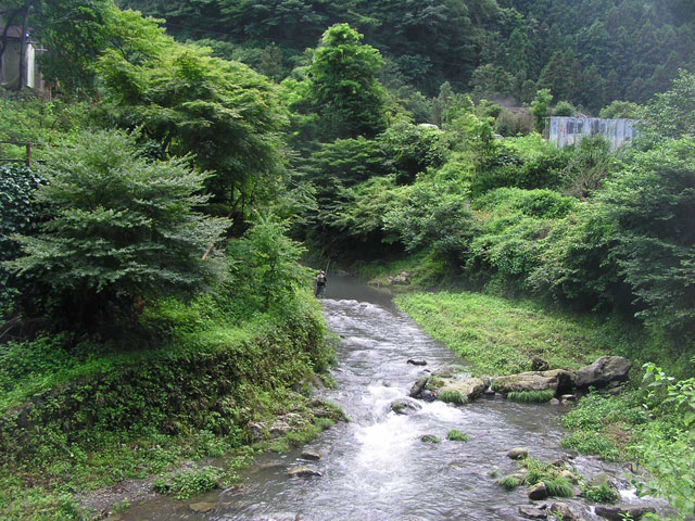 養沢毛鉤専用釣場渓相を楽しみながら写真