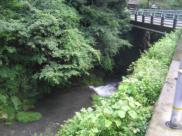 養沢毛鉤専用釣場釣り歩く写真