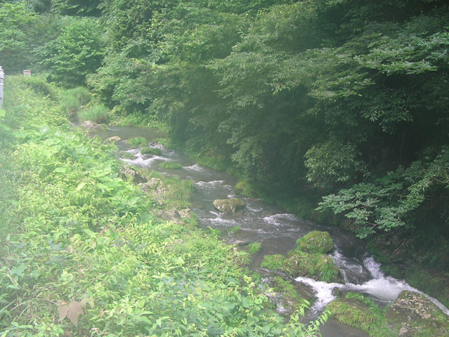 養沢毛鉤専用釣場ボサを下りて写真