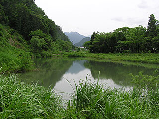 湯沢東山フィッシングパーク画像