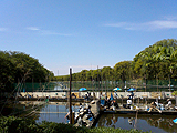 �S�������ނ�x���فE�����ނ蕗�i�ʐ^