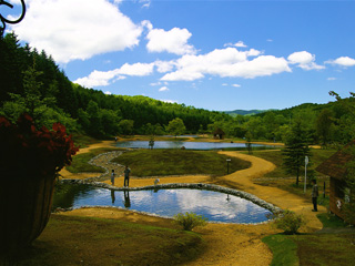 Shimamatsu River Territory@10pound摜