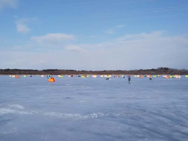 姉沼 Mobile版 管理釣り場ドットコム