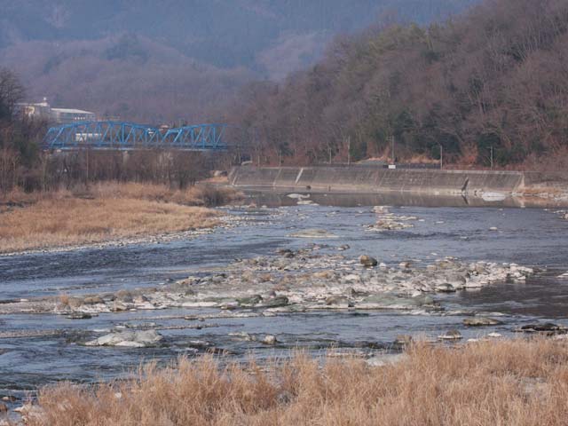 荒川本流にじます（通年C&R区間 / 冬季C&R区間）画像