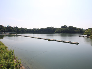 鮎川湖画像