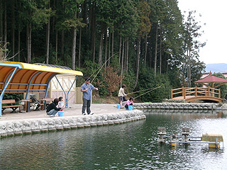 美祢市養鱒場釣り堀画像