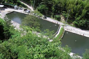 千早川マス釣り場