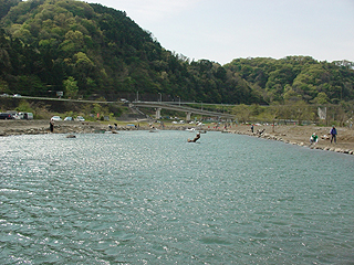 Fishing Field中津川画像