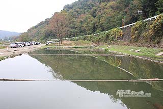 Fishing Field中津川ヘラ用池