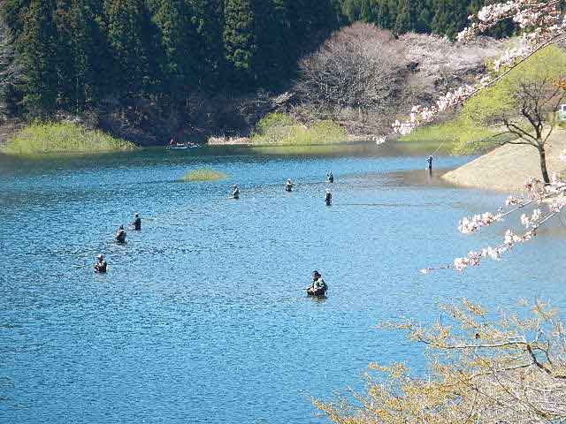 東古屋湖画像