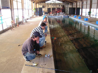 海釣りハウス コリュッシュ Mobile版 管理釣り場ドットコム