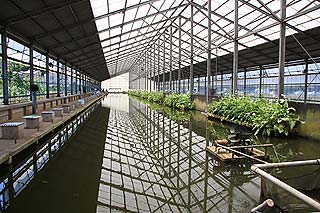 フィッシングエリア座間養魚場室内釣り堀写真