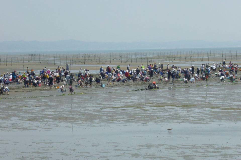 22年 最新の貝毒情報を知る 潮干狩りの注意点