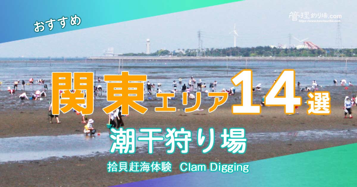 22年関東オススメ潮干狩り場14選