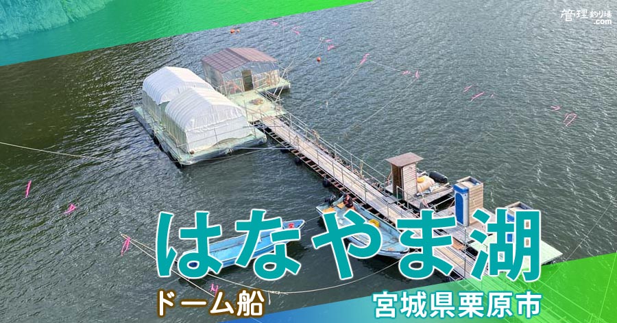 わかさぎ　宮城　はなやま湖