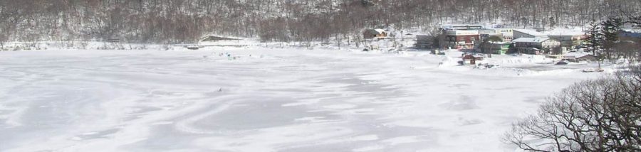 赤城大沼　わかさぎ