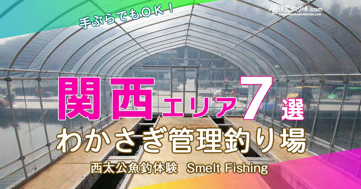 関西おすすめわかさぎ釣り場