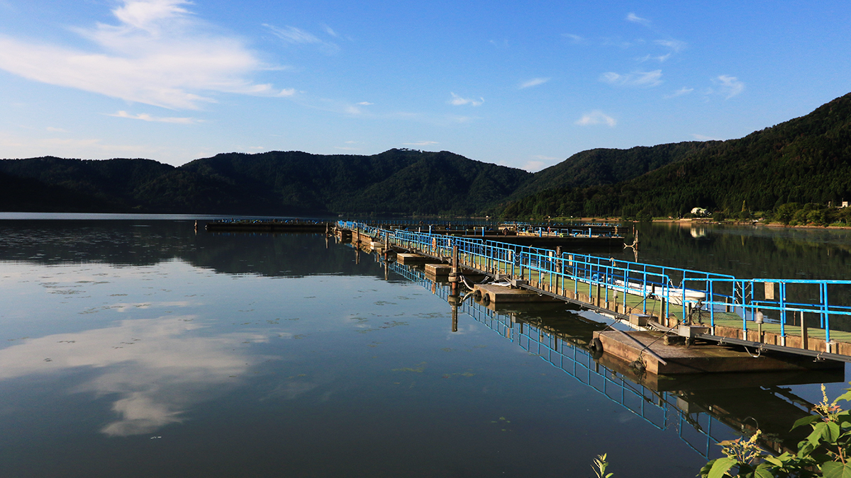 余呉湖　川並桟橋　管理釣り場ドットコム