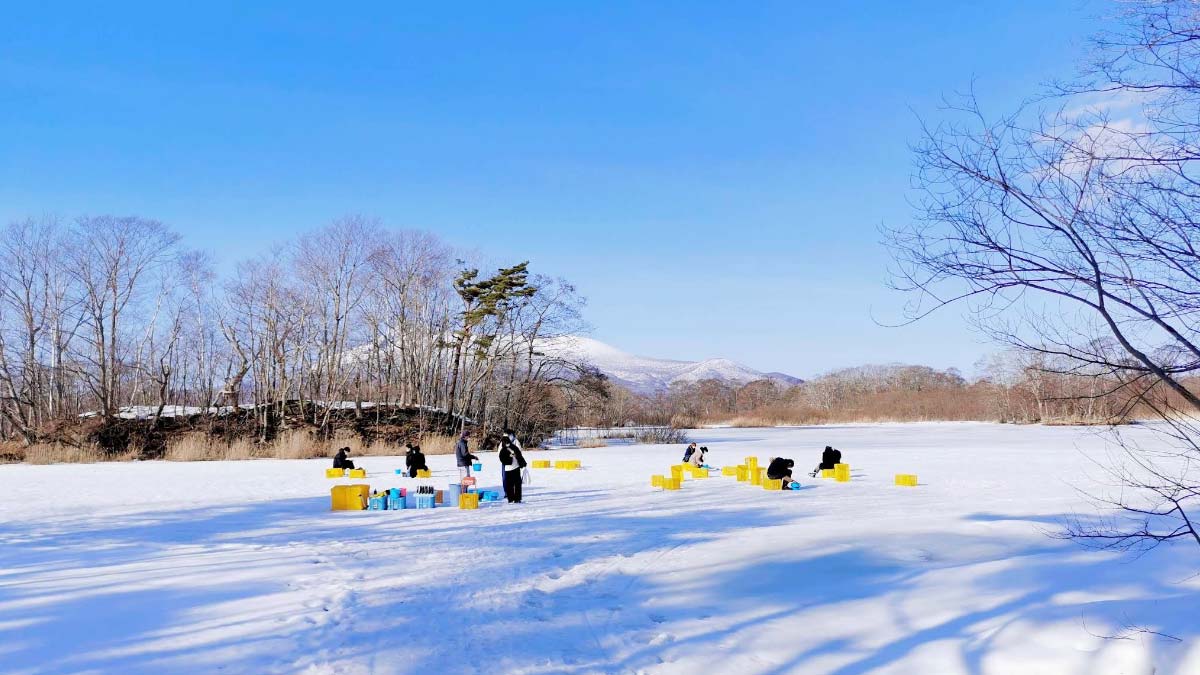 鯉つり堀太公園