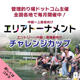 エリアトーナメント