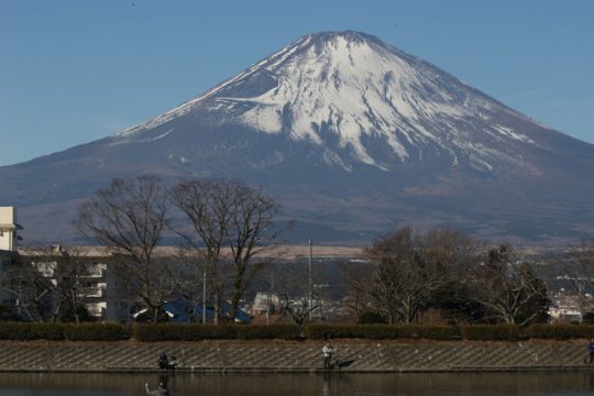 エリアトーナメント