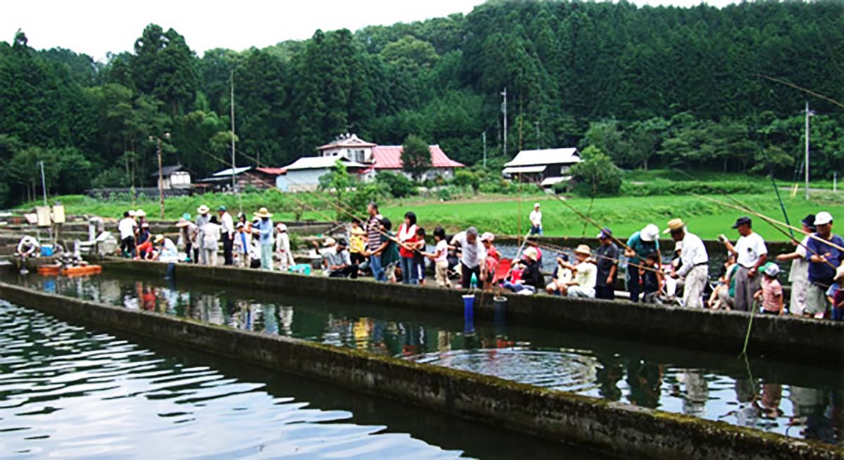 金精川のます池