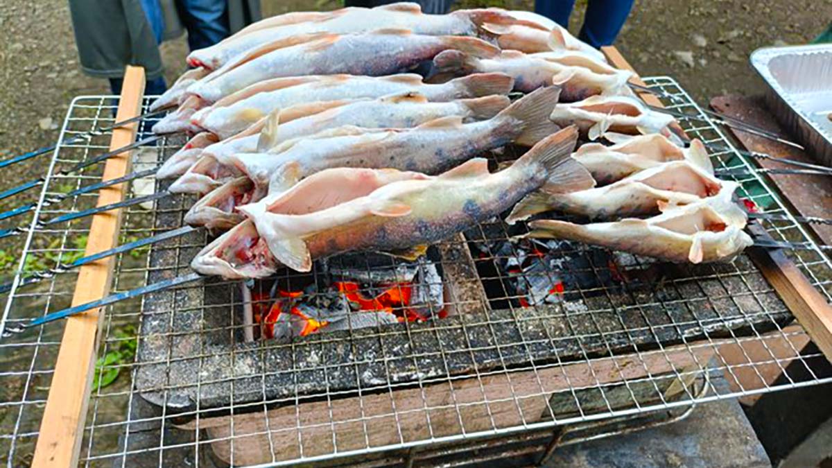 高水山源流の釣り堀