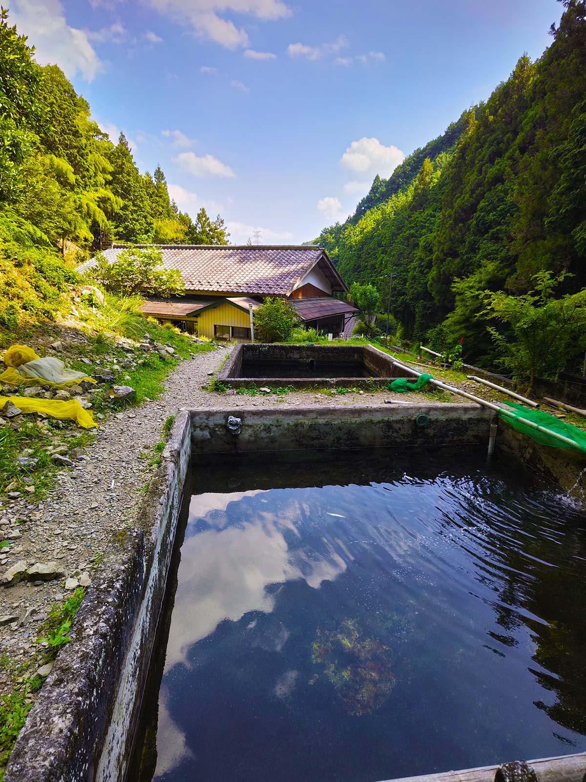 高水山源流の釣り堀