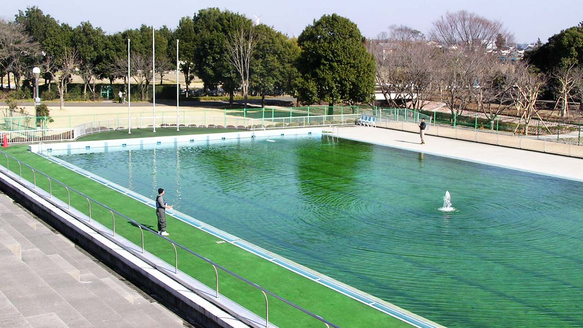 栃木市総合運動公園プールフィッシング